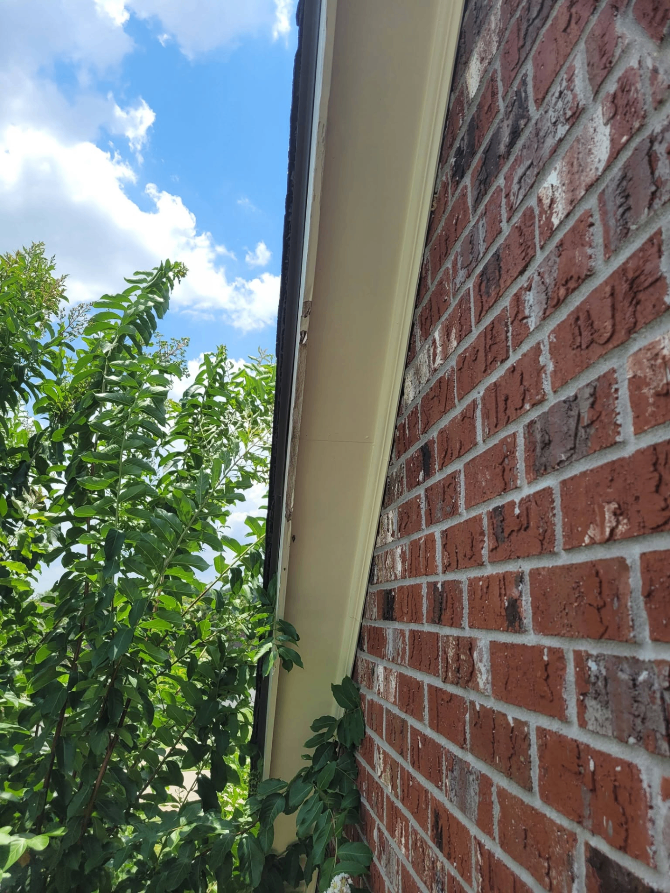 Soffit & Fascia Repair